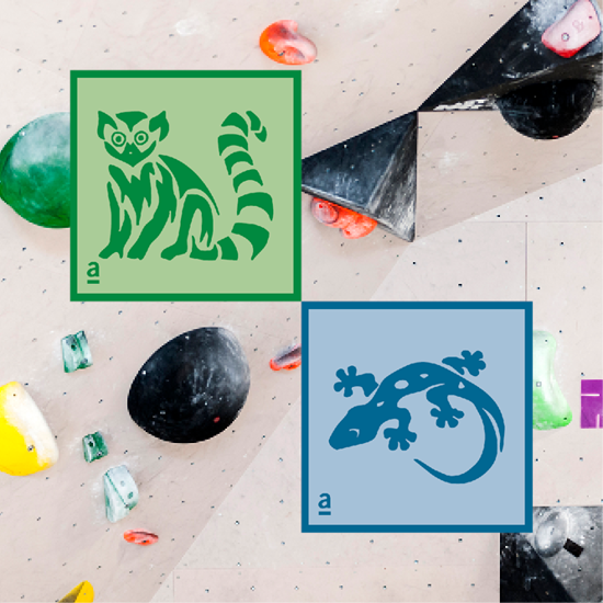 Bild von Trainingsgruppe Bouldern