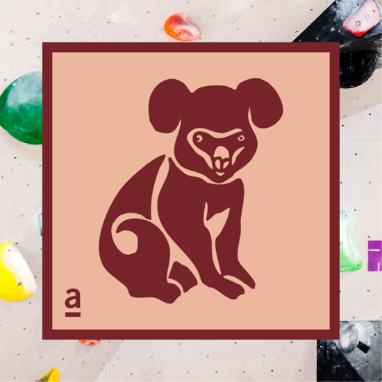 Bild von Bouldern Koala