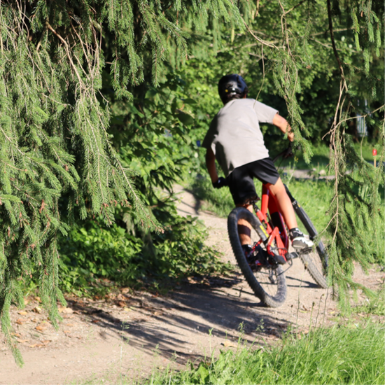 Bild von Flamingo - Kurvenhelden & Balance-Meister