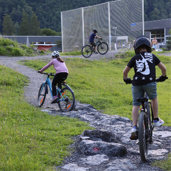 Bild von Gorilla - Mini-Tricks & Hindernisse