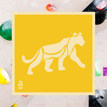 Bild für Kategorie Jaguar - mit kleinen Schritten hoch hinaus